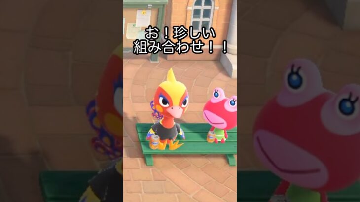 【あつ森】シャッターチャンス！！と、思ったらあの住民が…笑