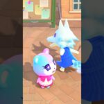 【あつ森】みすずのまわりをブーン!!