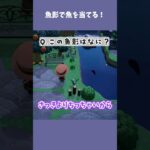 魚影で魚を当てるプロです！！！ #あつ森  #あつまれどうぶつの森  #女性ゲーム実況