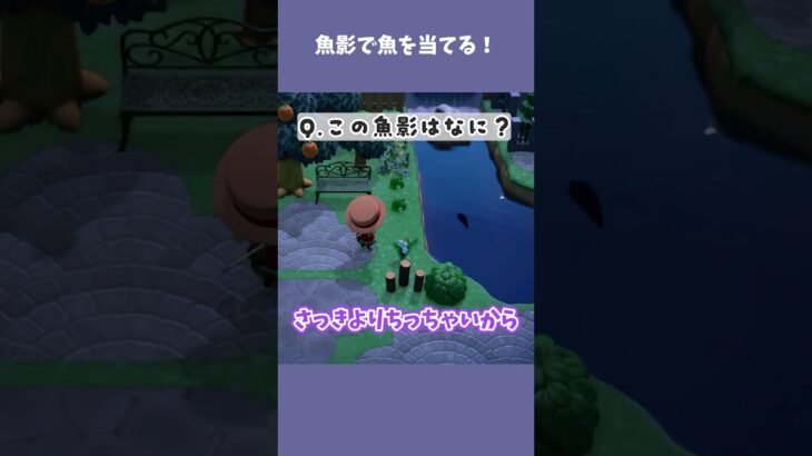 魚影で魚を当てるプロです！！！ #あつ森  #あつまれどうぶつの森  #女性ゲーム実況