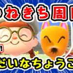 【あつ森★ゼロはじ】#１００  つねきち周回｜激レア！いだいなちょうこくがほしい！【第４の島】