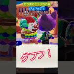 【#あつ森 】ジュペッティ【#あつまれどうぶつの森 】