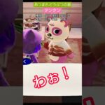 【#あつ森 】タンタン【#あつまれどうぶつの森 】