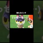 だるい島民代表で可哀想【あつ森】