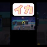 イカ#ゲーム実況   #もっちー切り抜き #あつもり  #あつまれどうぶつの森  #あつ森 #おもしろ動画 #もちひろ #ゲーム  #実況 #ショート