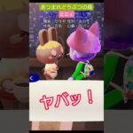 【#あつ森 】ミミィ【#あつまれどうぶつの森 】