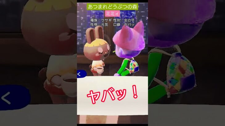 【#あつ森 】ミミィ【#あつまれどうぶつの森 】