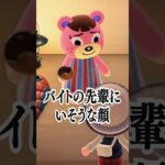 いつもいるバイトリーダー・ネーヤ先輩【あつ森】