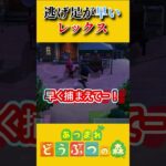 捕まえてくれると思うやん…？【あつ森】 #あつまれどうぶつの森 #あつ森 #ゲーム実況