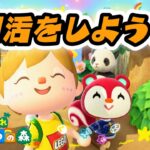 生配信【あつ森】朝活をしよう♪ゆっくり見ていってね✨【第三の島】