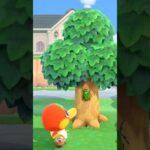 【あつ森】カナブンが欲しいみたい