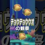 【あつ森】チョウチョウウオの観察🐠