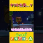 新しい住民が来た…！？【あつ森】 #あつまれどうぶつの森 #あつ森 #ゲーム実況