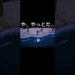 や、やっとだ💦#あつまれどうぶつの森#あつ森