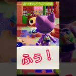 【#あつ森 】アンヌ【#あつまれどうぶつの森 】