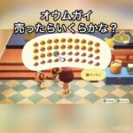 【あつ森】オウムガイ売ったらいくらかな？　#vlog #あつ森 #あつまれどうぶつの森 #こはくちゃんねる2424   #毎日更新中