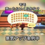【あつ森】モモ売ったらいくらかな？　#vlog #あつ森 #あつまれどうぶつの森 #こはくちゃんねる2424   #毎日更新中