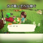 【あつ森】カブ売ったらいくらかな？　#vlog #あつ森 #あつまれどうぶつの森 #こはくちゃんねる2424   #毎日更新中