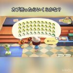 【あつ森】カブ売ったらいくらかな？　#vlog #あつ森 #あつまれどうぶつの森 #こはくちゃんねる2424   #毎日更新中
