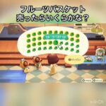 【あつ森】フルーツバスケット売ったらいくらかな？　#vlog #あつ森 #あつまれどうぶつの森 #こはくちゃんねる2424   #毎日更新中