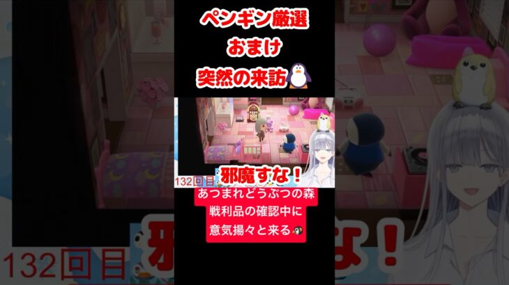【あつ森】ペンギン厳選おまけ 突然の来訪🐧 #vtuber  #ゲーム実況