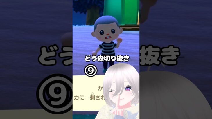 オラは怒ったぞぉおおお！！！　#vtuber #あつ森 #どう森 #ゲーム実況