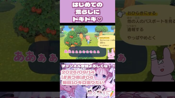 荒らしにドキドキ♡　 #あつ森　 #vtuber
