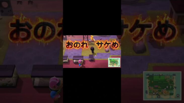 鮭を料理してやったw #あつ森#あつまれどうぶつの森#クッキング#魚#Nintendo Switch