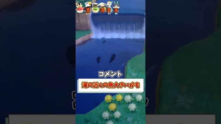 【あつ森】コメントのおかげで超レアな魚釣れましたw【あつまれどうぶつの森】#shorts #あつ森