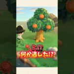 【あつ森】とある歌のせいでレアな虫を逃したw【あつまれどうぶつの森】#shorts #あつ森