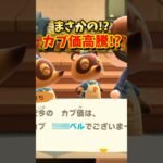 【あつ森】全財産を賭けたカブ活リベンジの結果がヤバすぎたw【あつまれどうぶつの森】#shorts #あつ森