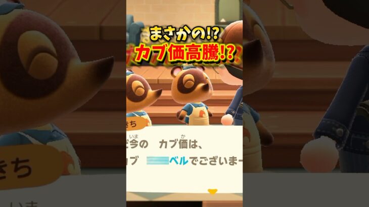 【あつ森】全財産を賭けたカブ活リベンジの結果がヤバすぎたw【あつまれどうぶつの森】#shorts #あつ森