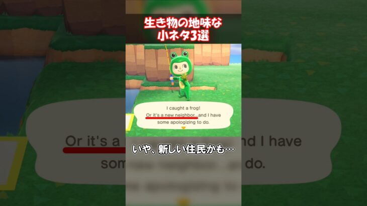 カエルの英語版ブラックジョークがひどいww 【あつ森】@ほのげ
