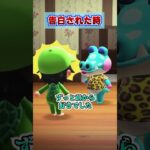 告白されたときの違いwww [あつまれどうぶつの森]