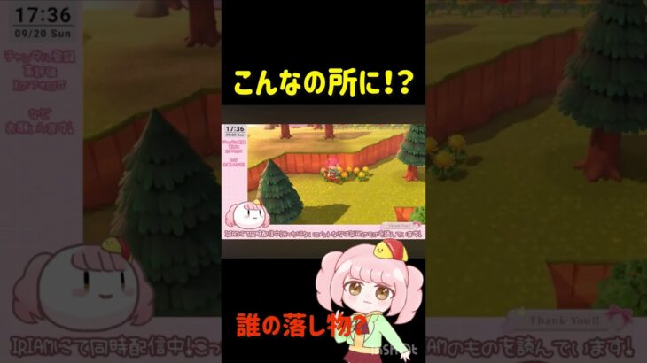 【あつ森】どこに何ちゅうもん落としとんねん！？www