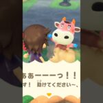 【あつ森】いさこを落とし穴に落としてみたwww #shorts #あつ森