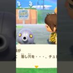 【あつ森】ギーガーを落とし穴に落としてみたwww #shorts #あつ森