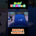 【あつ森】秋ですな～！(＃03)  #shorts #あつ森 #あつまれどうぶつの森