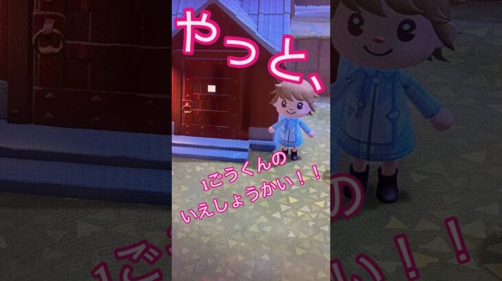 【あつ森】1ごうくんの家しょうかい #あつまれどうぶつの森 #あつ森 #あつ森ショート #あつ森switch # #あつ森初心者