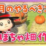 【あつ森】10月の家具集めなどやるべきこと！かぼちゃ畑の島クリエイトをするライブ【あつまれどうぶつの森】