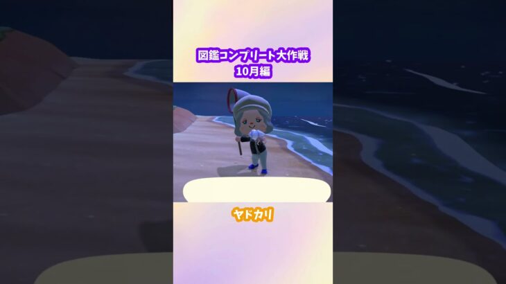 【あつ森】図鑑をうめたい。10月編。