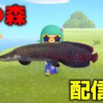 今日のあつ森は釣り1000匹耐久です【あつ森】#shorts #あつ森 #あつまれどうぶつの森 #acnh #縦型配信