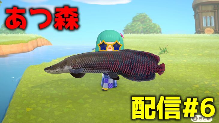 今日のあつ森は釣り1000匹耐久です【あつ森】#shorts #あつ森 #あつまれどうぶつの森 #acnh #縦型配信