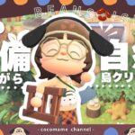【あつ森🫘￤島クリ】🌱目指せ‼スキマのない自然がいっぱいの島🌳【10/9(金)】