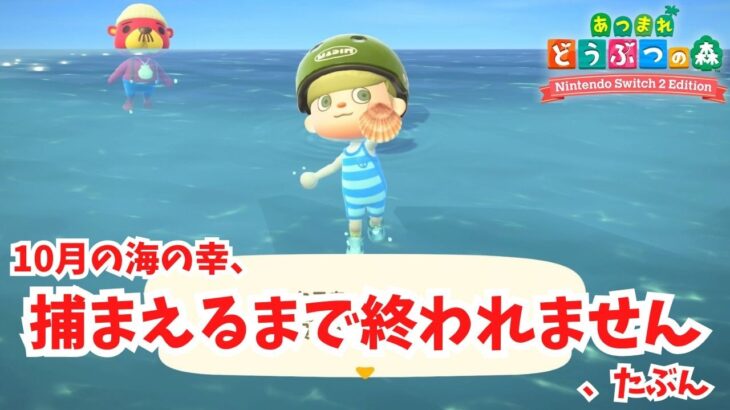 【あつ森雑談】10月の海の幸、全部捕まえるまで終われません！チャンネル６周年ありがとう！コメント読みます！【ACNH】【あつまれどうぶつの森】