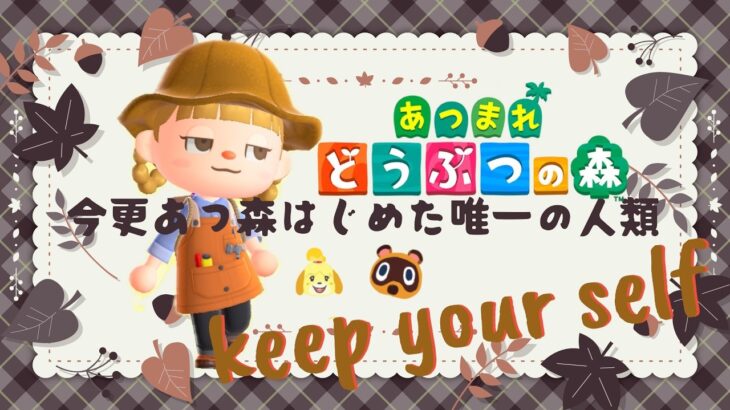 黒猫お祝い🍰今更あつ森をはじめた唯一の人類　#12