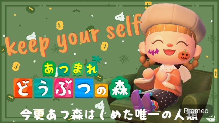 博物館に行きたい～今更あつ森をはじめた唯一の人類　#15