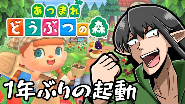 【あつ森】1年ぶりにSwitch起動して遊んでみる【ケリン】