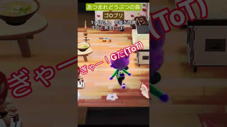 【#あつ森 】 1ヶ月以上部屋を放置した結果(ToT)【#あつまれどうぶつの森 】