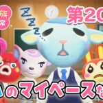 【あつ森アニメ】パンダ家族の日常 第202話「レムのマイペースな1日」
